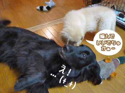 20100711-02.jpg