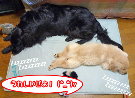 20100712.jpg