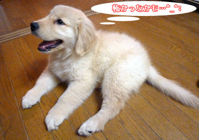 20100713.jpg