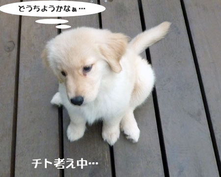 20100715-01.jpg