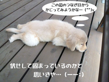 20100715-03.jpg