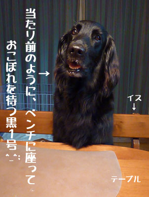 20100716-01.jpg