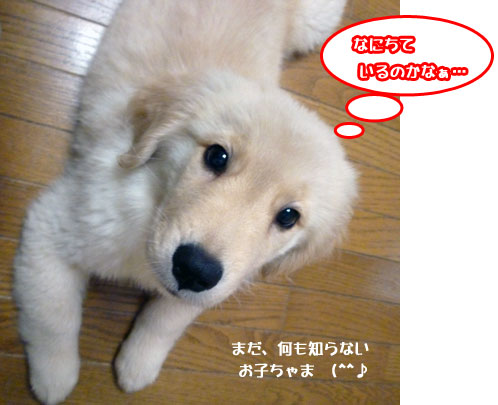 20100716-02.jpg