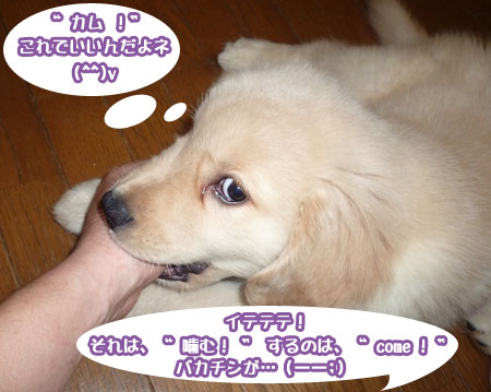 20100717-02.jpg