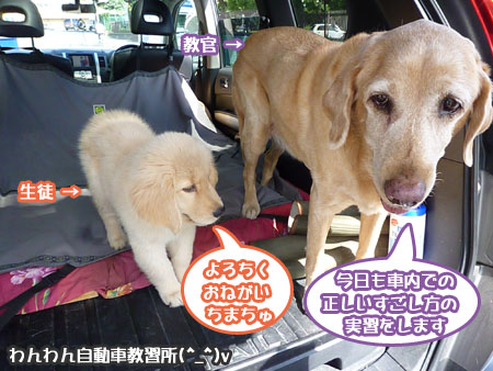 20100718-01.jpg