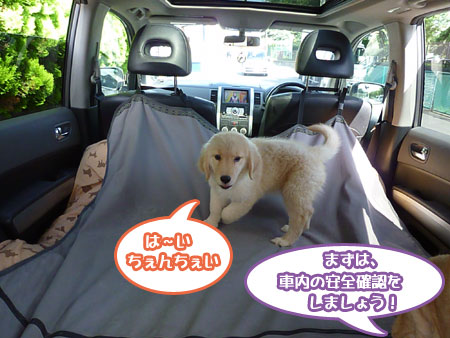 20100718-02.jpg