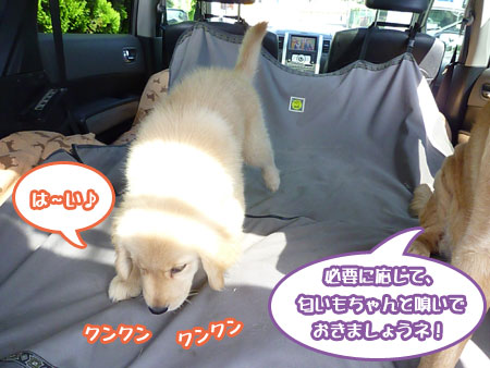 20100718-03.jpg