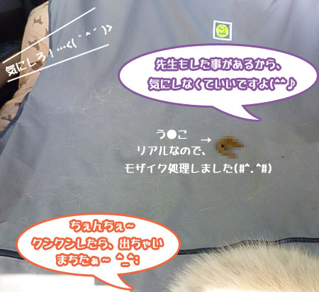 20100718-04.jpg