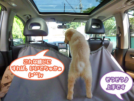 20100718-05.jpg