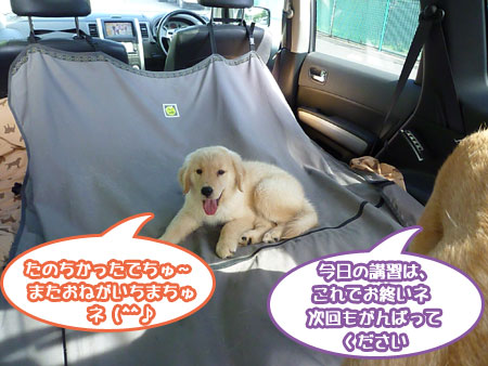 20100718-06.jpg