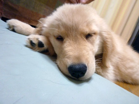 20100719.jpg