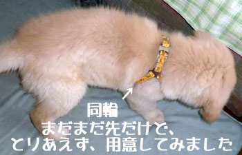 20100720.jpg