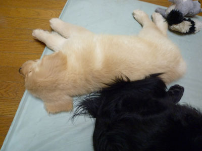 20100721.jpg