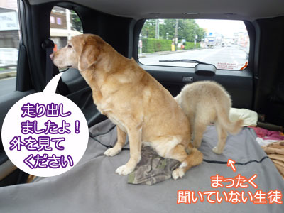 20100731-01.jpg