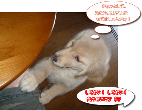 20100804.jpg