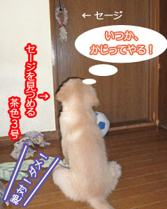 20100805.jpg