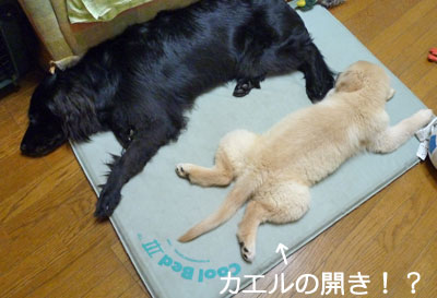 20100807.jpg