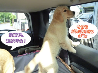 20100809-01.jpg