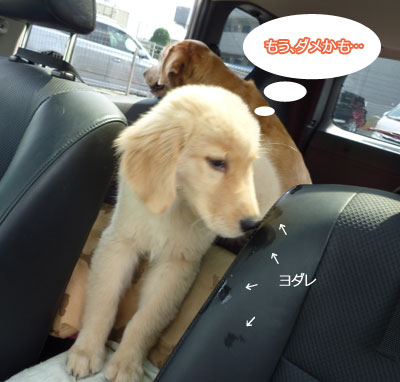 20100809-02.jpg