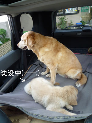 20100809-03.jpg