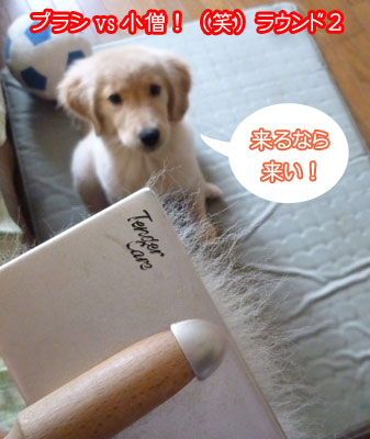 20100810-01.jpg