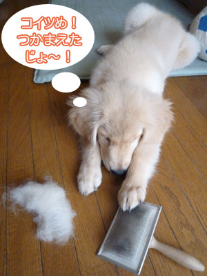 20100810-02.jpg