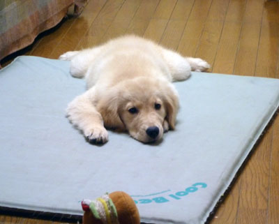 20100811.jpg