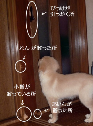 20100814.jpg