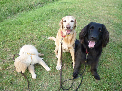 20100816-01.jpg