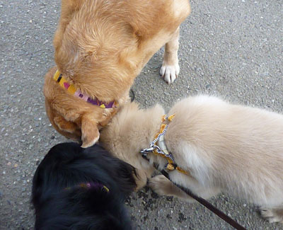 20100816-02.jpg