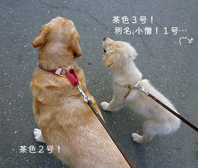 20100817.jpg