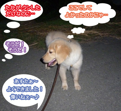 20100818.jpg