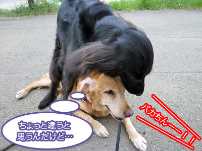 20100820.jpg