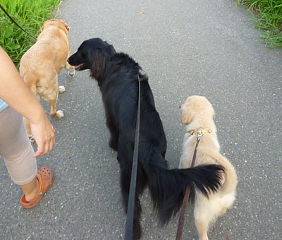 20100821.jpg