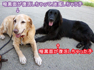 20100901-01.jpg