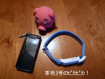 20100902-02.jpg