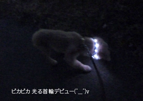 20100902.jpg