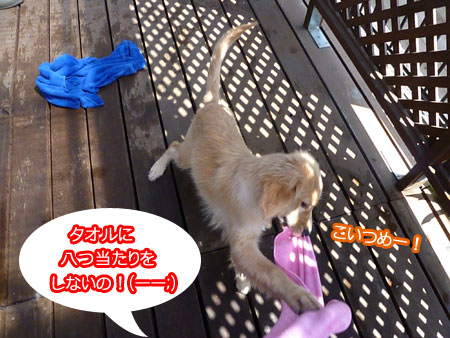 20100903-02.jpg