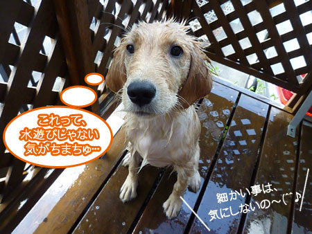 20100903.jpg