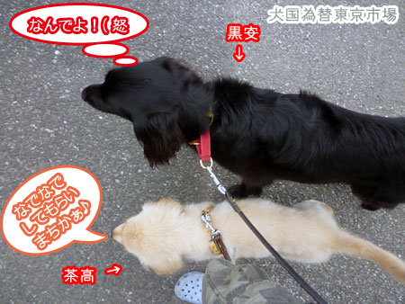 20100904.jpg