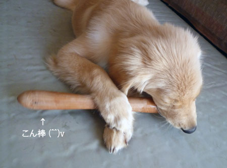 20100905.jpg