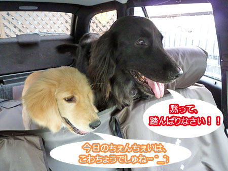 20100906-01.jpg