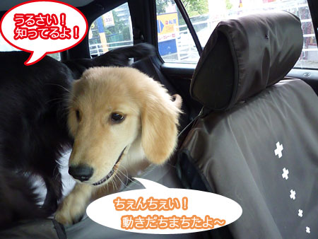 20100906-02.jpg