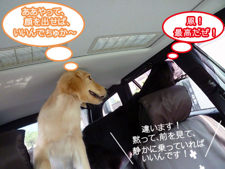 20100906-04.jpg