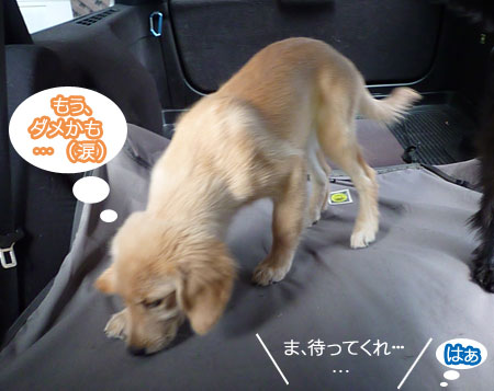 20100906-05.jpg