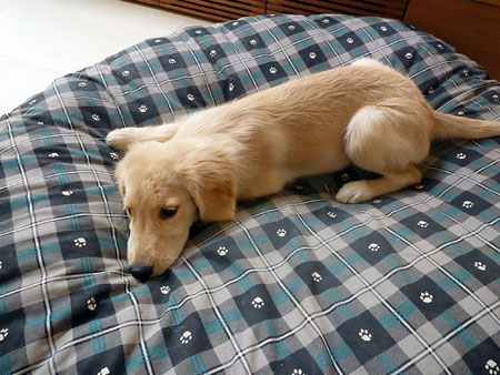 20100907.jpg