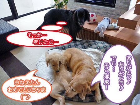 20100910.jpg