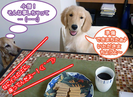 20100911.jpg