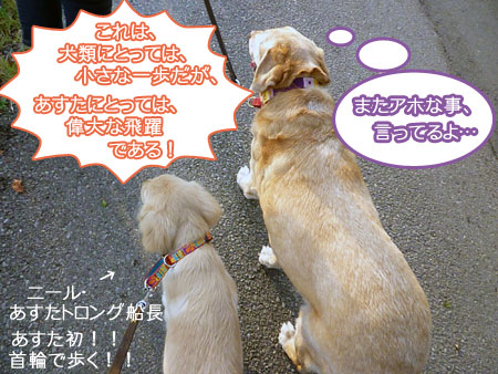 20100912-01.jpg