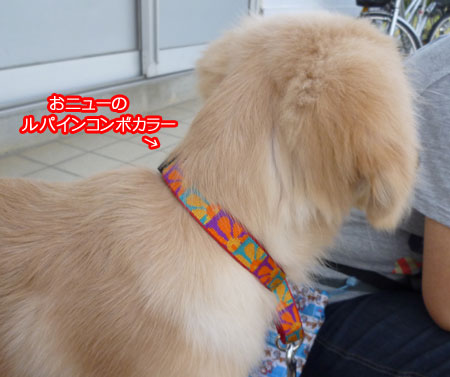 20100912-02.jpg